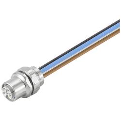 Weidmüller SAIE-M12BL-0.3VFM16-2.5 upravený zástrčkový konektor pro senzory - aktory, 2530800000, piny: 5, 0.3 mm, 1 ks