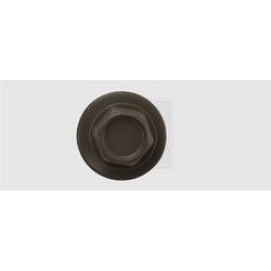 SWG 4009155758565 závrtný šroub 4.8 mm 25 mm vnější šestihran ocel pozinkované 100 ks