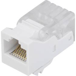 TRU COMPONENTS SM-2014H8C5E Modulární zásuvky zásuvka, rovná šedá 1 ks