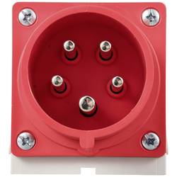 Sygonix SY-6261870 CEE zástrčka na stěnu, 16 A, 5pólová, 415 V/AC, 1 ks