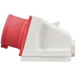 Sygonix SY-6261870 CEE zástrčka na stěnu, 16 A, 5pólová, 415 V/AC, 1 ks