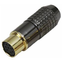 BKL Electronic 0204023 mini DIN konektor zásuvka, rovná Pólů: 4 černá 1 ks