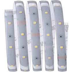 Paulmann MaxLED Basic 79868 LED pásek základní sada konektor 24 V 1.5 m teplá bílá 1 ks