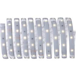 Paulmann MaxLED Basic 79869 LED pásek základní sada konektor 24 V 3 m teplá bílá 1 ks