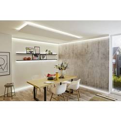 Paulmann MaxLED Basic 79869 LED pásek základní sada konektor 24 V 3 m teplá bílá 1 ks