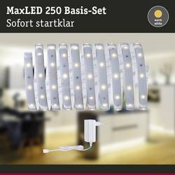 Paulmann MaxLED Basic 79869 LED pásek základní sada konektor 24 V 3 m teplá bílá 1 ks