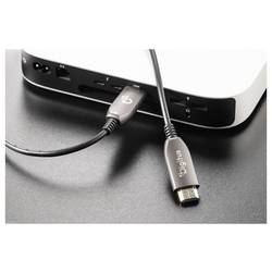 Digitus HDMI kabel Zástrčka HDMI-A, Zástrčka HDMI-A 10.00 m černá AK-330126-100-S 8K UHD, dvoužilový stíněný HDMI kabel