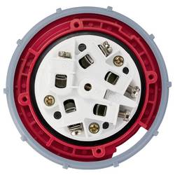 Sygonix SY-6796256 CEE zástrčka, 63 A, 5pólová, 400 V/AC, 1 ks