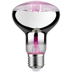 Paulmann LED lampa pro růst rostlin 230 V E27 6.5 W jantar 1 ks