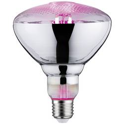 Paulmann LED lampa pro růst rostlin 230 V E27 6.5 W jantar 1 ks
