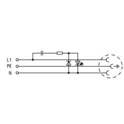 skříňový rozvaděč-zásuvka WAGO 709-581 bílá (d x š x v) 84.70 x 44.80 x 62.40 mm