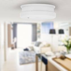Smartwares RM250 detektor kouře na baterii (Ø x v) 100 mm x 35 mm