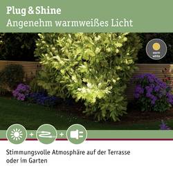 Osvětlovací systém Plug&Shine LED vestavné svítidlo 6 W teplá bílá Paulmann 93907 stříbrná 20 °