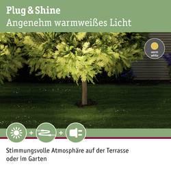 Osvětlovací systém Plug&Shine LED vestavné svítidlo 6 W teplá bílá Paulmann 93908 stříbrná 38 °