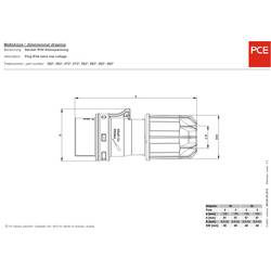 PCE Twist 082-12v CEE zástrčka, 16 A, 2pólový, 42 V, 1 ks
