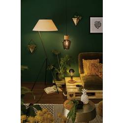 Paulmann 28717 LED Energetická třída (EEK2021) F (A - G) E27 6.5 W teplá bílá (Ø x v) 64 mm x 140 mm 1 ks