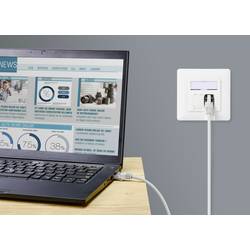 Renkforce RF-5266138 RJ45 síťové kabely, propojovací kabely CAT 6A S/FTP 1.00 m šedá Slimline,, flexibilní provedení, s ochranou, samozhášecí 1 ks