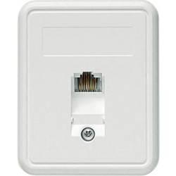 Telegärtner síťová zásuvka na omítku CAT 5e 1 port alpská bílá