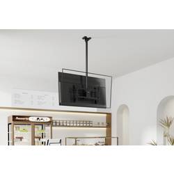 SpeaKa Professional SP-TVCM-550 TV stropní držák 109,2 cm (43) - 218,4 cm (86”) naklápěcí, nakláněcí, nastavitelná výška