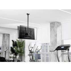SpeaKa Professional SP-TVCM-550 TV stropní držák 109,2 cm (43) - 218,4 cm (86”) naklápěcí, nakláněcí, nastavitelná výška