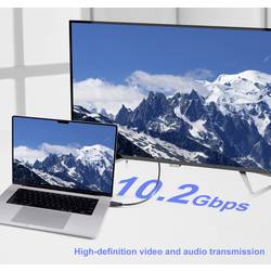 SpeaKa Professional HDMI kabel Zástrčka HDMI-A, Zástrčka HDMI-A 1.00 m černá SP-13660956 pozlacené kontakty HDMI kabel