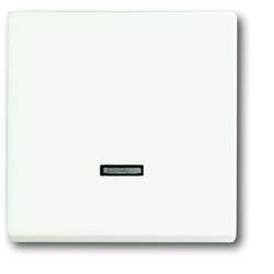 Busch-Jaeger 6543-884-101 2CKA006599A2963 vstupní modul (š x v) 63 mm x 63 mm žádný bílá, dopravní bílá 1 ks Piece