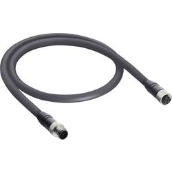 Belden 0935 253 103/5M datový zástrčkový konektor pro senzory - aktory, upravený, 10968-1, piny: 5, 5.00 m, 1 ks