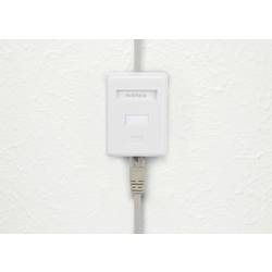 Renkforce síťový adaptér na omítku CAT 6 1 port bílá