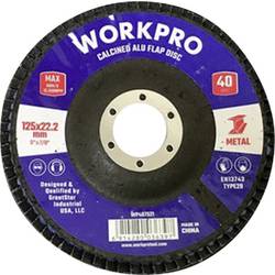 WorkPro WP407521 lamelový kotouč Průměr 125 mm 10 ks