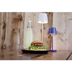 Deko Light 620199 Canis Akumulátorová stolní LED lampa 3.5 W teplá bílá bílá