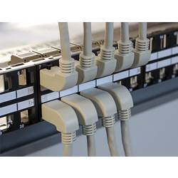 Delock 83644 RJ45 síťové kabely, propojovací kabely CAT 6A S/FTP 0.50 m šedá Zahnutý kabelový vývod 1 ks