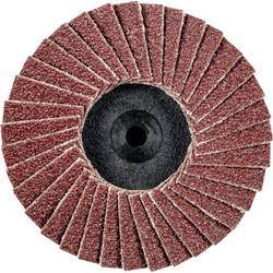 PFERD TOOLS 47202528 CDR PFF 50 A 60 vějířovitý brusný kotouč Průměr 50 mm Zrnitost 60 bronz, titan, Slitina titanu, měď, mosaz, nerezová ocel, Šedá / tvárná
