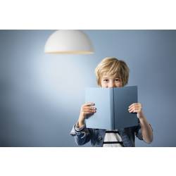 Philips LED 76221600 LED Energetická třída (EEK2021) E (A - G) E14 6.5 W = 60 W studená bílá (Ø x d) 3.5 cm x 9.7 cm 1 ks