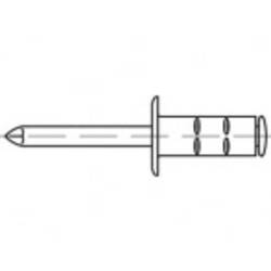 TOOLCRAFT TO-5380551 slepý nýt 4.8 mm nerezová ocel 500 ks