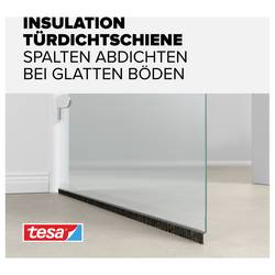 tesa STANDARD 05433-00102-00 Door sealing rail tesaMOLL® transparentní (d x š) 1 m x 40 mm 1 ks