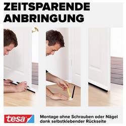 tesa STANDARD 05433-00102-00 Door sealing rail tesaMOLL® transparentní (d x š) 1 m x 40 mm 1 ks