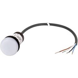Eaton C22-L-W-24-P62 signalizační světlo plochý bílá 24 V DC/AC 1 ks