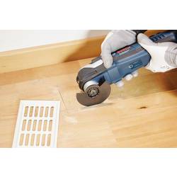 Bosch Accessories 2CPX062128R9999 2608664483 HCS segmentový pilový list 10 ks