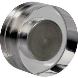 magnetoplan magnet Acryl (Ø) 20 mm kulatý transparentní 4 ks 1681020