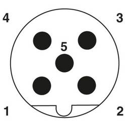 Phoenix Contact SAC-5PT-FB/MB-MBF PBDP SH T-rozdělovač, 1424713, piny: 5, 1 ks