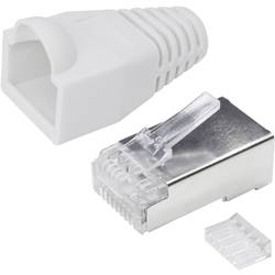Quadrios 1906C171, RJ45 konektor, zástrčka, rovná, bílá, 25 ks
