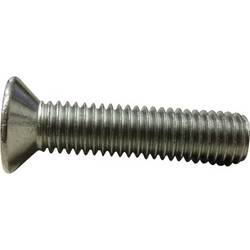 TOOLCRAFT M2*6 D963-4.8:A2K 194819 zápustný šroub M2 6 mm příruba DIN 963 ocel pozinkované 100 ks