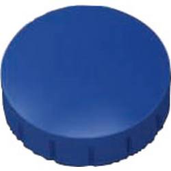 Maul magnet MAULsolid (Ø x v) 20 mm x 7.5 mm kulatý modrá 10 ks 6162035