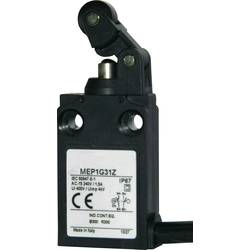 Panasonic MEP1G31Z MEP1G31Z koncový spínač 24 V 5 A páka s rolnou/simulovanou rolnou IP67 1 ks