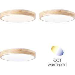 Brilliant G99414/75 Slimline LED stropní svítidlo LED pevně vestavěné LED Energetická třída (EEK2021): F (A - G) 13 W dřevo (světlé), bílá