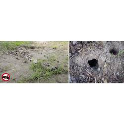 Gardigo Diamant, 70035, odpuzovač krtků a dalších hrabošů Rozsah působení 700 m², 1 ks, funkce: vibrace