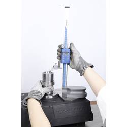 Dasqua 3130-8119 Digitální výškoměr Odečet: 0.01 mm 1 ks