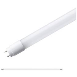 Paulmann LED trubice Energetická třída (EEK2021): F (A - G) G13 18 W neutrální bílá (Ø x d) 28 mm x 1214 mm 1 ks