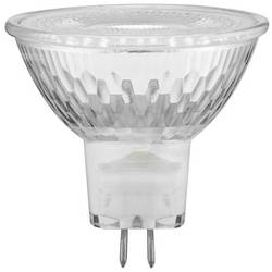 Paulmann 28910 LED Energetická třída (EEK2021) G (A - G) GU5.3 žárovka 3 W teplá bílá (Ø x v) 50 mm x 48 mm stmívatelná 1 ks