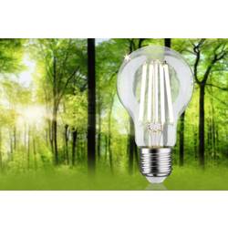 Paulmann 29121 LED Energetická třída (EEK2021) A (A - G) E27 4 W teplá bílá (Ø x v) 60 mm x 105 mm 1 ks